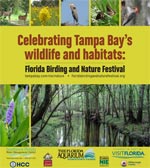 Celebrating Tampa Bay’s wildlife and habitats