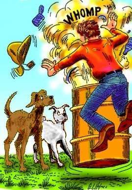 TeachingBooks  Hank the Cowdog Series