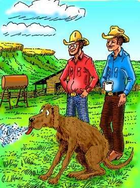 Texas Reads: John Erickson book answers questions about Hank the Cowdog