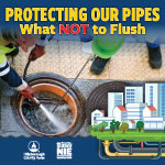 Protecting our Pipes: What not to flush