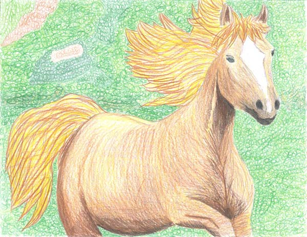Danielle Martin, Ozona Elementary School